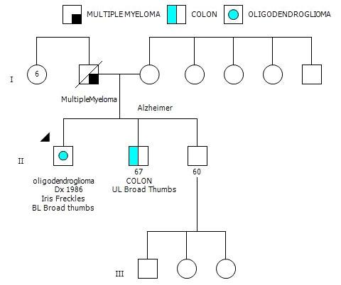 【佳学基因检测】基因检测发现少突胶质细胞瘤IDH 突变和 1p/19q 共缺失并揭示其靶向药物选择
